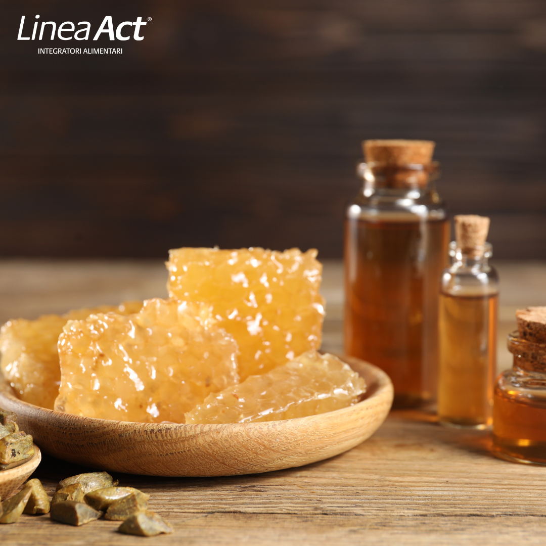 A cosa serve la propoli? Dalle proprietà all’uso umano e veterinario