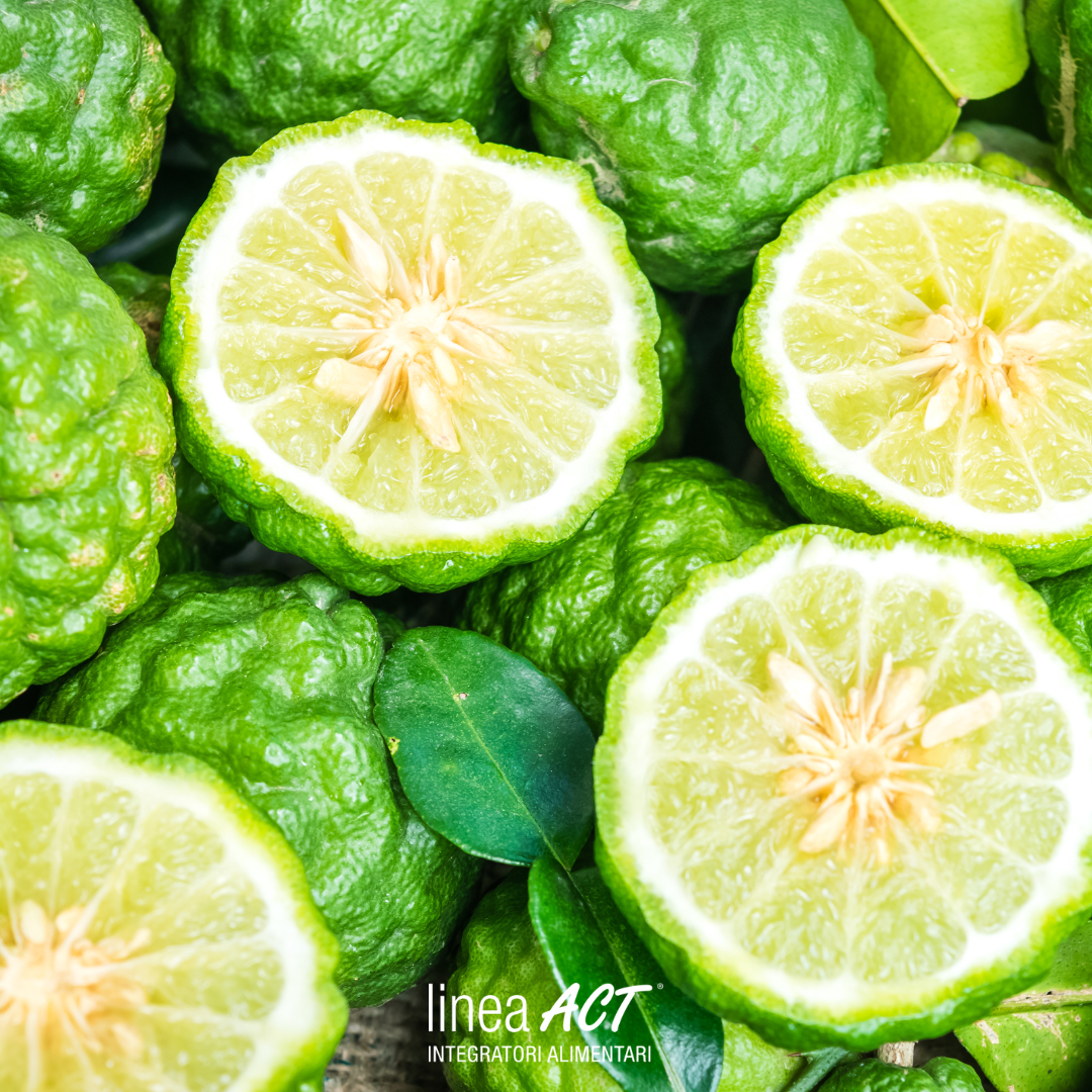 Bergamotto: proprietà anticolesterolo (e non solo) e curiosità